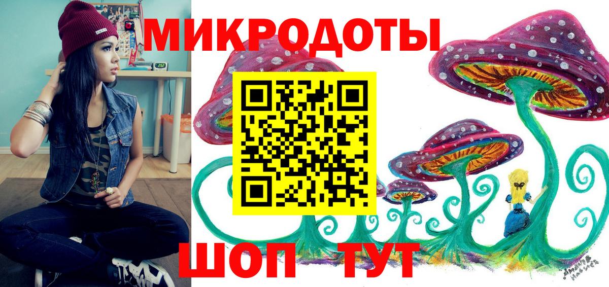 Котлас  Псилоцибиновые грибы Psilocybe  Вход с VPN 